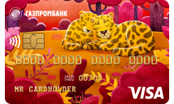 Кредитная карта «Наш малыш» Gold от Газпромбанк